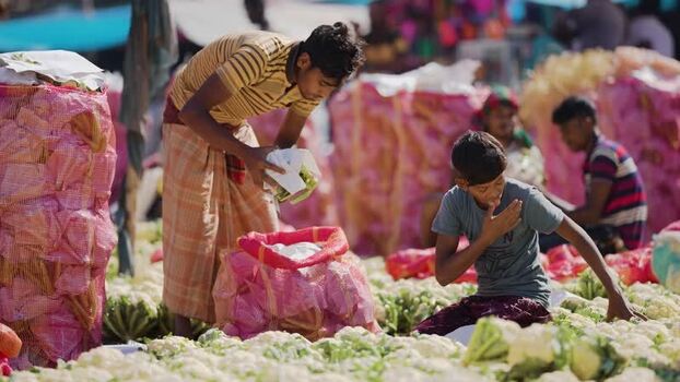 View of workers packing cauliflowers at a market Bangladesh. View of workers packing cauliflowers at a market Bangladesh.