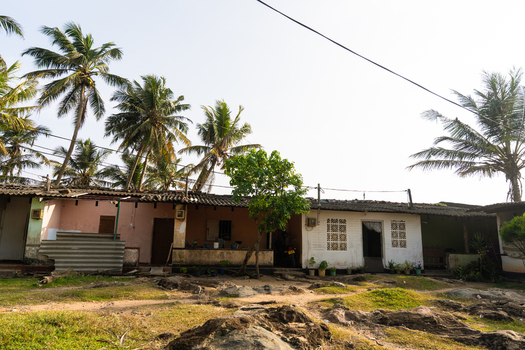View of modest local houses surrounded by tropical palm trees and rocky terrain in Galle Southern Province Sri Lanka.