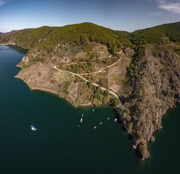 Aerial view of Ribeira Sacra Galicia with lush green hills terraced vineyards and small boats floating on the calm river water under a clear blue sky Lugo Ourense Spain. Aerial view of Ribeira Sacra Galicia with lush green hills terraced vineyards and small boats floating on the calm river water under a clear blue sky Lugo Ourense Spain.