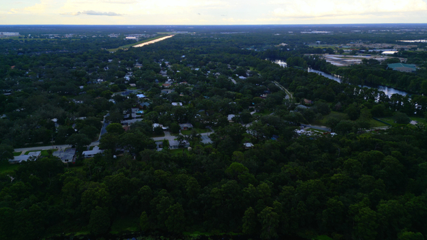 Aerial view of a residential neighborhood surrounded by lush green trees and a winding canal under a bright sky in Tampa Florida United States. Aerial view of a residential neighborhood surrounded by lush green trees and a winding canal under a bright sky in Tampa Florida United States.