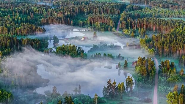 Aerial view of misty forest and lake in Latvia. Aerial view of misty forest and lake in Latvia.