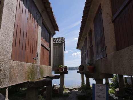 View of traditional stone horreos with wooden doors and potted plants overlooking the sea in Combarro Pontevedra Spain.
