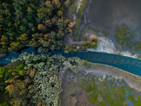Aerial view of a winding creek flowing through dense native vegetation lush trees and marshy wetlands in Dee Why New South Wales Australia. Aerial view of a winding creek flowing through dense native vegetation lush trees and marshy wetlands in Dee Why New South Wales Australia.