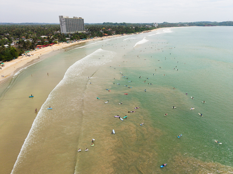 Aerial view of surfers catching waves along the sandy shoreline and tropical palm trees Weligama Southern Province Sri Lanka.
