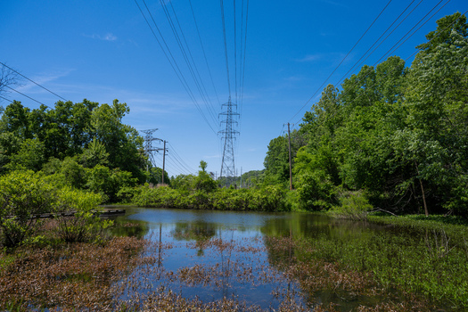 View of high voltage power lines crossing over a calm pond surrounded by lush green trees in Greentree Park Kirkwood Missouri United States. View of high voltage power lines crossing over a calm pond surrounded by lush green trees in Greentree Park Kirkwood Missouri United States.