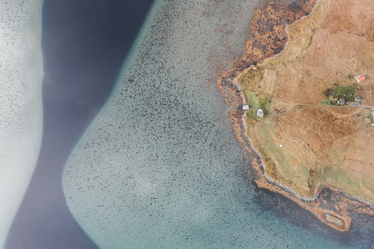 Aerial view of the rugged coastline of Lofoten with clear turquoise water meeting grassy terrain and small houses in Leknes Nordland Norway. Aerial view of the rugged coastline of Lofoten with clear turquoise water meeting grassy terrain and small houses in Leknes Nordland Norway.