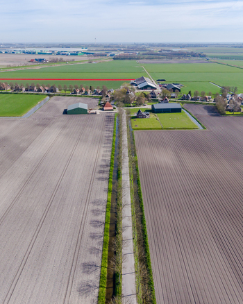 Aerial view of cultivated fields stretching in parallel lines towards farmhouses and verdant pastures under a bright sky Lambertschaag North Holland Netherlands. Aerial view of cultivated fields stretching in parallel lines towards farmhouses and verdant pastures under a bright sky Lambertschaag North Holland Netherlands.