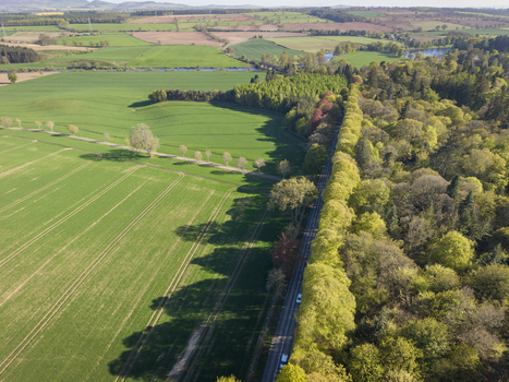 Aerial view of the famous Meikleour Beech Hedge bordering a road alongside lush green fields and dense woodland in Meikleour Scotland United Kingdom.