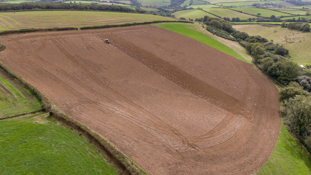 Aerial view of a tractor plowing a large brown field with a flock of birds following behind surrounded by lush green countryside and hedgerows in Looe Cornwall United Kingdom. Aerial view of a tractor plowing a large brown field with a flock of birds following behind surrounded by lush green countryside and hedgerows in Looe Cornwall United Kingdom.