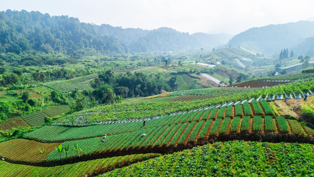 Aerial view of lush terraced agricultural fields with farmers working among the crops near the misty mountains of Sukabumi West Java Indonesia. Aerial view of lush terraced agricultural fields with farmers working among the crops near the misty mountains of Sukabumi West Java Indonesia.