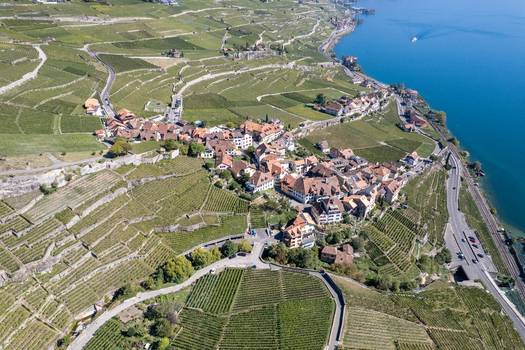 Aerial view of the historic Vignoble du Lavaux terraced vineyards surrounding the village of Rivaz with Lake Geneva in the background Rivaz Vaud Switzerland.