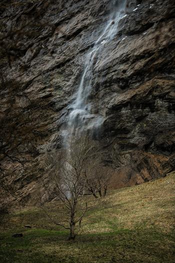 View of a slender waterfall cascades down a craggy rock face contrasting with the verdant meadow and bare trees at its base Lauterbrunnen Switzerland. View of a slender waterfall cascades down a craggy rock face contrasting with the verdant meadow and bare trees at its base Lauterbrunnen Switzerland.