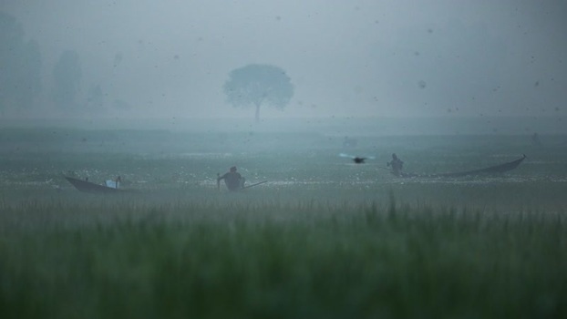 View of fishermen in wooden boats on a misty river Bangladesh. View of fishermen in wooden boats on a misty river Bangladesh.
