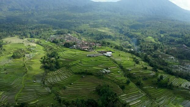 Aerial view of Jatiluwih rice terraces with mountains in Indonesia.