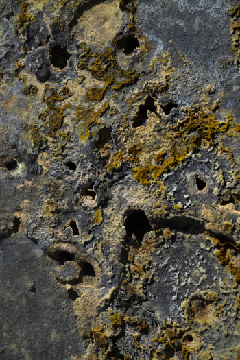 View of a textured surface revealing a tapestry of greys and ochre etched with organic patterns in a close up that captures the essence of time and nature Hrunamannahreppur Iceland.
