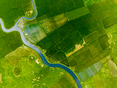 Aerial view of a winding river flowing through vibrant green agricultural fields and paddy patches in the rural landscape of Dhaka Dhaka Division Bangladesh. Aerial view of a winding river flowing through vibrant green agricultural fields and paddy patches in the rural landscape of Dhaka Dhaka Division Bangladesh.