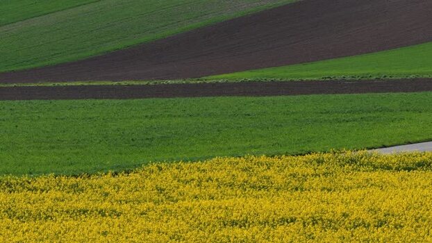 Aerial view of yellow field and car France.