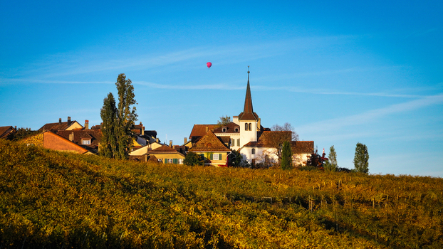 Aerial view of the village steeple rising amidst the vineyards a tapestry of autumnal hues under a clear sky Féchy Vaud Switzerland. Aerial view of the village steeple rising amidst the vineyards a tapestry of autumnal hues under a clear sky Féchy Vaud Switzerland.