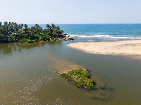 Aerial view of a tropical coastline with lush palm trees a sandy beach and a small island surrounded by the turquoise ocean in Galle Southern Province Sri Lanka.