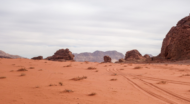 View of Wadi Rum Desert with red sand dunes sandstone rock formations and tire tracks under a cloudy sky in Wadi Rum Village Aqaba Governorate Jordan. View of Wadi Rum Desert with red sand dunes sandstone rock formations and tire tracks under a cloudy sky in Wadi Rum Village Aqaba Governorate Jordan.