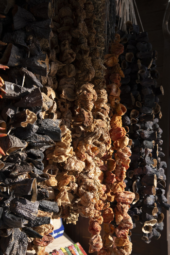 View of strings of dried eggplants and peppers hanging in a traditional market with warm sunlight and shadows Kayseri Kayseri Turkiye. View of strings of dried eggplants and peppers hanging in a traditional market with warm sunlight and shadows Kayseri Kayseri Turkiye.