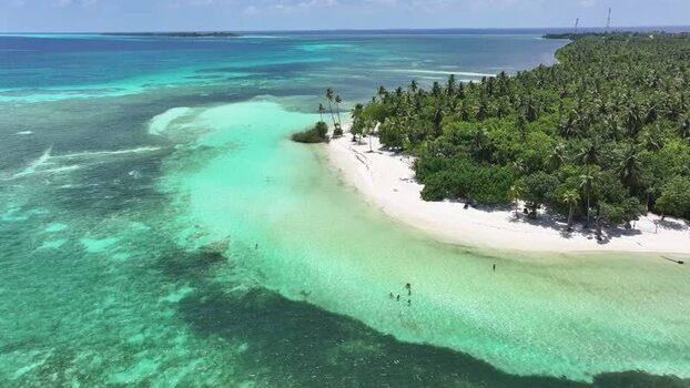 Aerial view of a tropical beach with palm trees and turquoise water Maldives. Aerial view of a tropical beach with palm trees and turquoise water Maldives.