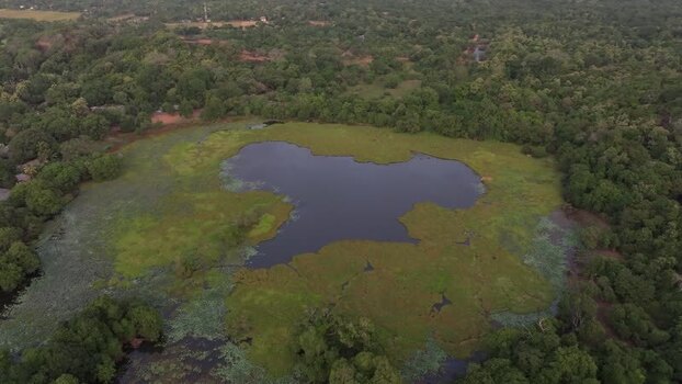 Aerial view of a lake in the forest Sri Lanka. Aerial view of a lake in the forest Sri Lanka.
