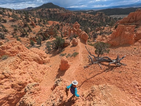 Aerial view of a woman hiking on the Arches Trail in Casto Canyon surrounded by red rock formations and rugged terrain in Bryce Canyon City Utah United States.