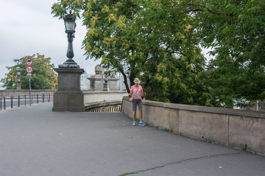 View of a woman wearing a hat and pink shirt looking at a map on the Margaret Bridge with a stone lion statue lush trees and a vintage lamp post in Budapest Hungary.