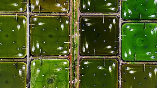 Aerial view of aquaculture ponds with aerators in Bali Indonesia.