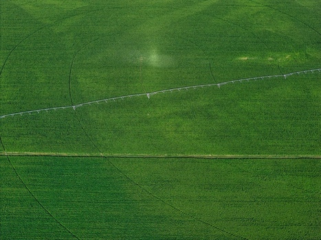 Aerial view of a lush green agricultural field with a large center pivot irrigation system creating circular patterns in Hombourg Grand Est France. Aerial view of a lush green agricultural field with a large center pivot irrigation system creating circular patterns in Hombourg Grand Est France.