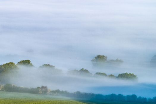 Aerial view of lush green fields and treetops emerging from a thick blanket of morning mist and fog Nuffield Oxfordshire United Kingdom. Aerial view of lush green fields and treetops emerging from a thick blanket of morning mist and fog Nuffield Oxfordshire United Kingdom.