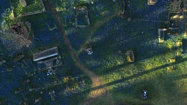 Aerial view of Bernardine Cemetery in Vilnius Lithuania. Aerial view of Bernardine Cemetery in Vilnius Lithuania.