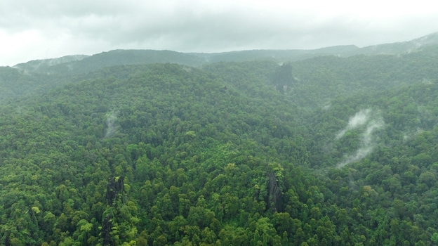 Aerial view of the unique limestone rock formations of Yana Caves rising above the dense misty green forest canopy in the Western Ghats near Yana Karnataka India.