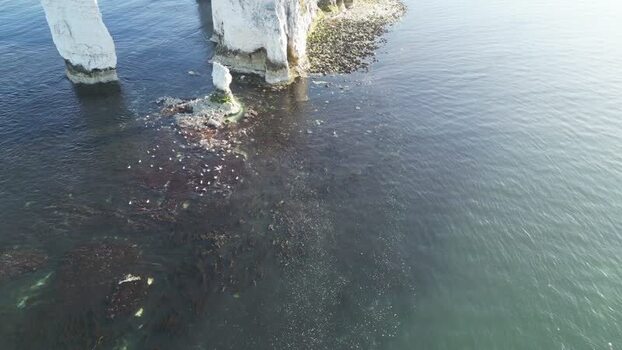 Aerial view of Old Harry Rocks chalk formations United Kingdom.