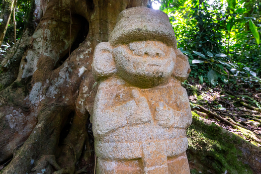 View of an ancient stone statue at San Agustin Archaeological Park surrounded by large tree roots in a lush forest environment in San Agustin Huila Colombia.