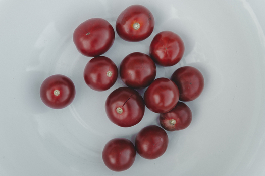 View of fresh red cherry tomatoes on a white plate Laane County Estonia.