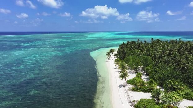 Aerial view of a tropical island with palm trees and coral reefs Maldives. Aerial view of a tropical island with palm trees and coral reefs Maldives.