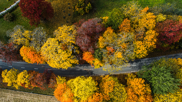 Aerial view of a road winding through a forest with vibrant autumn foliage in Sigulda Sigulda Municipality Latvia. Aerial view of a road winding through a forest with vibrant autumn foliage in Sigulda Sigulda Municipality Latvia.