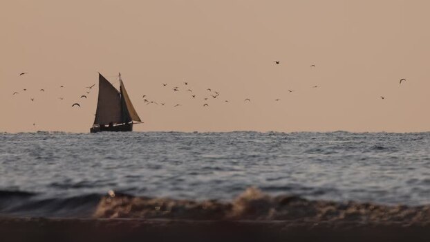 View of boats and birds at sea France. View of boats and birds at sea France.
