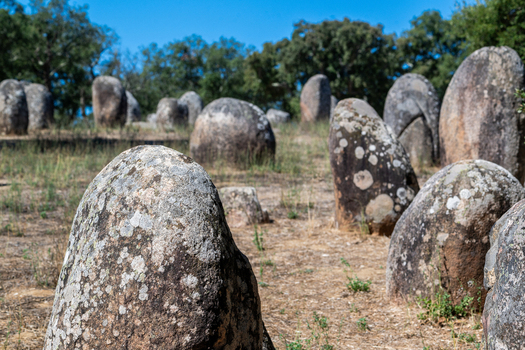 View of the ancient Almendres Cromlech megalithic site featuring weathered standing stones in a dry field with trees in Nossa Senhora de Guadalupe Distrito de Evora Portugal. View of the ancient Almendres Cromlech megalithic site featuring weathered standing stones in a dry field with trees in Nossa Senhora de Guadalupe Distrito de Evora Portugal.