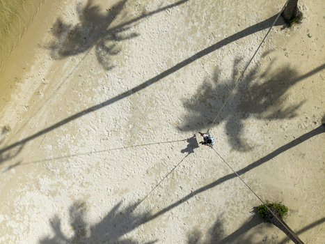 Aerial view of palm tree shadows stretching across the beach creating a contrast with the white sand Karimunjawa Jawa Tengah Indonesia.