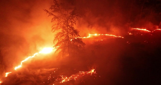 Aerial view of a forest fire burning through trees at night with glowing embers and smoke in Thailand. Aerial view of a forest fire burning through trees at night with glowing embers and smoke in Thailand.