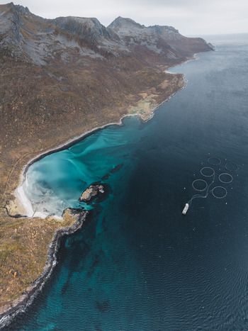 Aerial view of the rugged coastline and turquoise waters of Senja featuring a fish farm with circular pens in the sea surrounded by dramatic mountains in Senja Troms Norway.