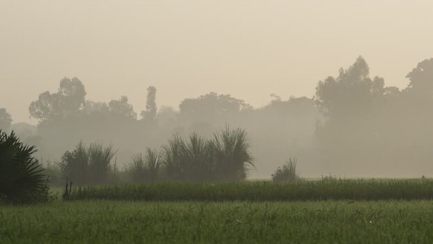 View of misty rural fields and trees in Bogura Bangladesh