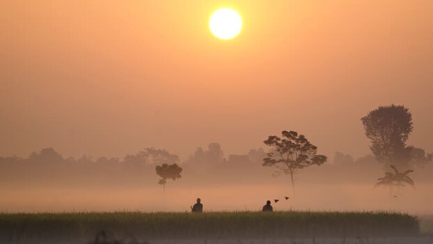 View of farmers in a misty field at sunrise in Bogura Bangladesh. View of farmers in a misty field at sunrise in Bogura Bangladesh.