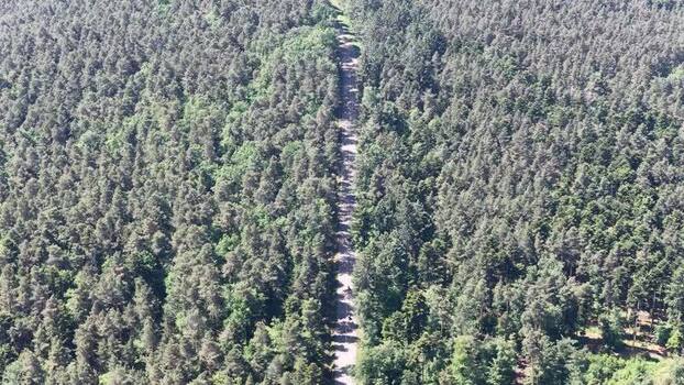 Aerial view of a straight path through a dense forest France.