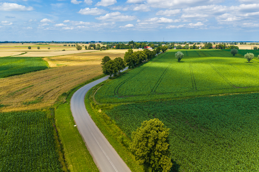 Aerial view of a winding road cutting through vibrant agricultural fields and lush green crops with scattered trees under a bright blue sky in Tczew Pomeranian Voivodeship Poland. Aerial view of a winding road cutting through vibrant agricultural fields and lush green crops with scattered trees under a bright blue sky in Tczew Pomeranian Voivodeship Poland.