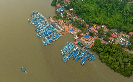 Aerial view of a busy fishing harbor with numerous blue boats docked along the Mandovi River surrounded by lush green mangroves and urban buildings in Panaji Goa India.