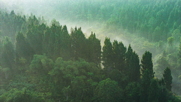 Aerial view of lush tropical forest shrouded in morning mist with dense green trees and soft sunlight Sukabumi West Java Indonesia. Aerial view of lush tropical forest shrouded in morning mist with dense green trees and soft sunlight Sukabumi West Java Indonesia.